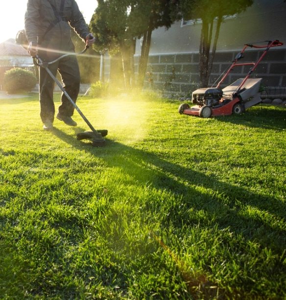 Entretien espaces verts Cambrai